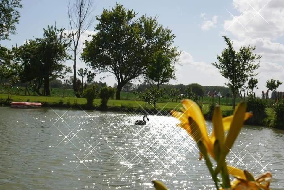 Gite Canard Fromelles 외부 사진