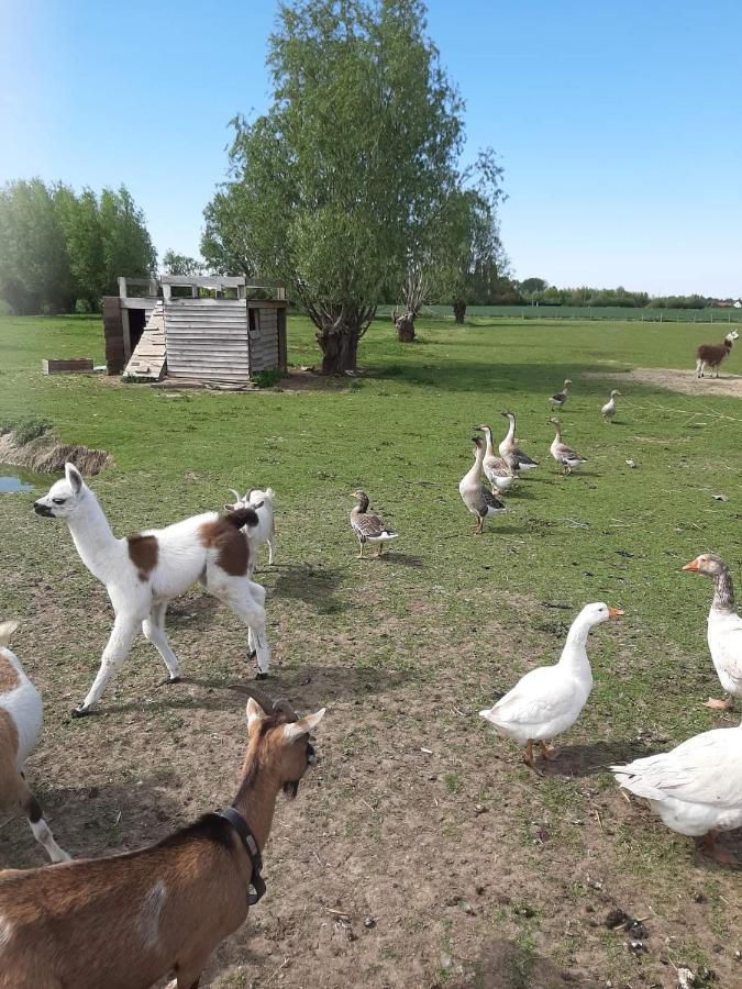 Gite Canard Fromelles 외부 사진