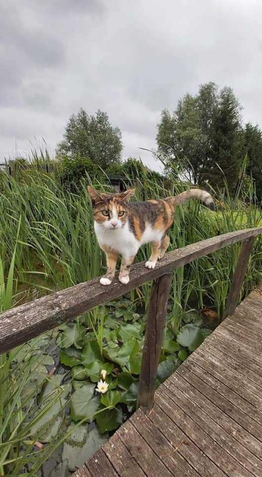 Gite Canard Fromelles 외부 사진