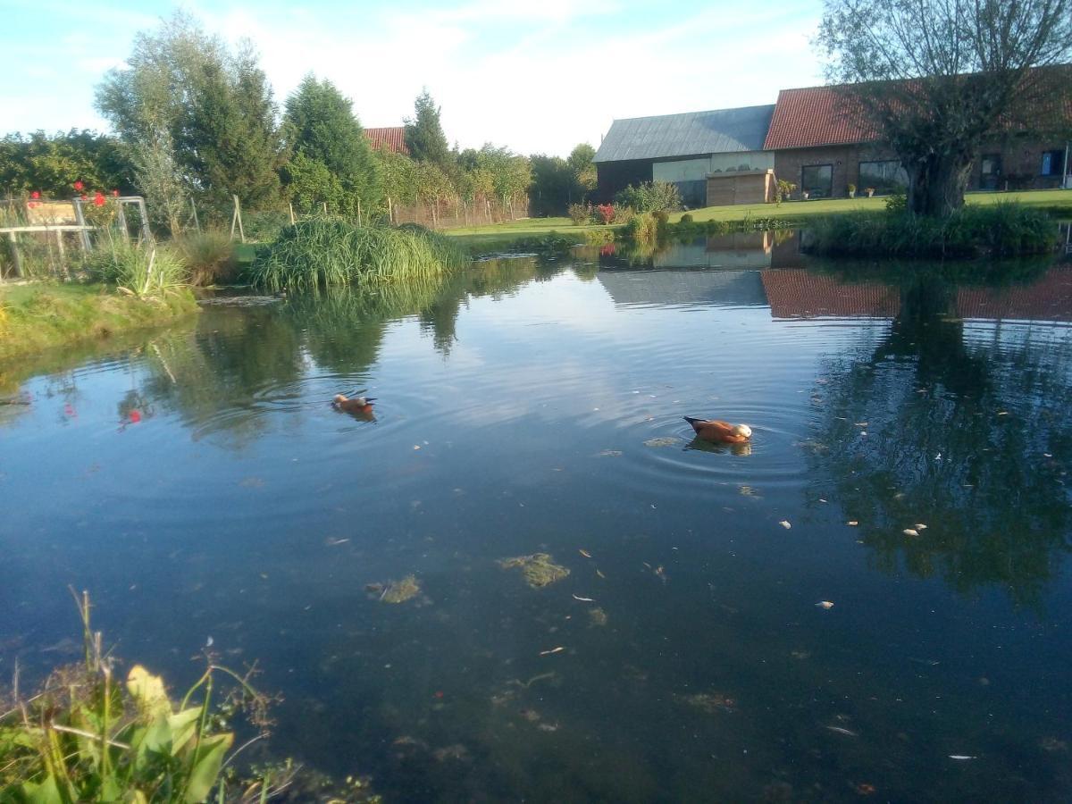 Gite Canard Fromelles 외부 사진